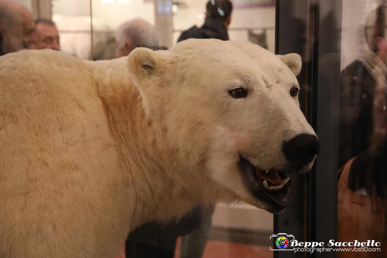 VBS_0957 - Riapre il Museo di Scienze Naturali dopo dieci anni di chiusura.jpg